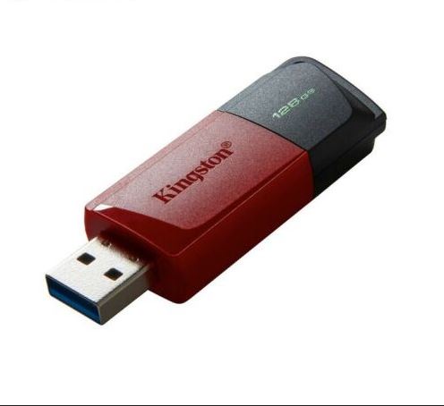 FLASHDRIVE KINGSTON 128GB – Angelus Press